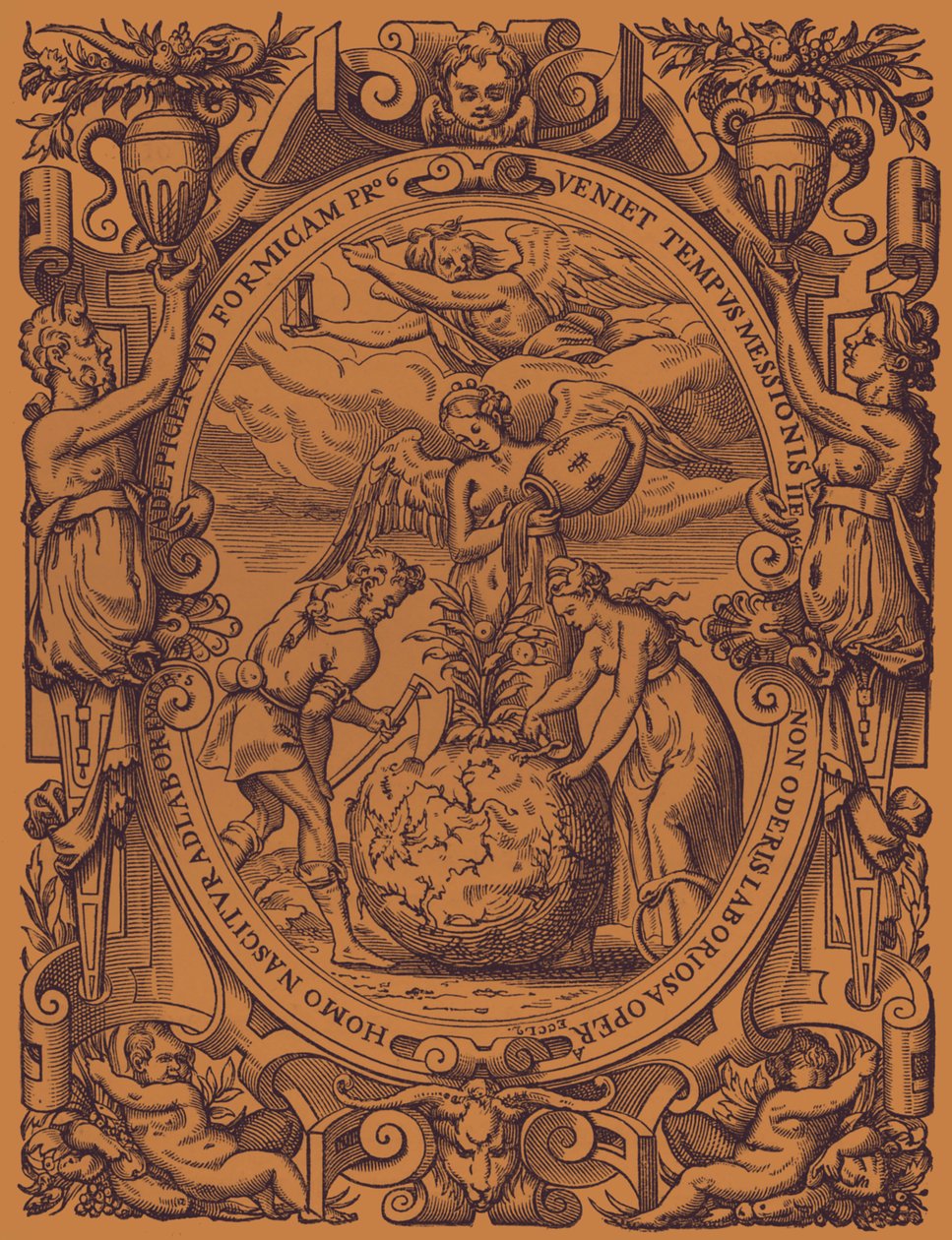 Le royaume végétal - French School