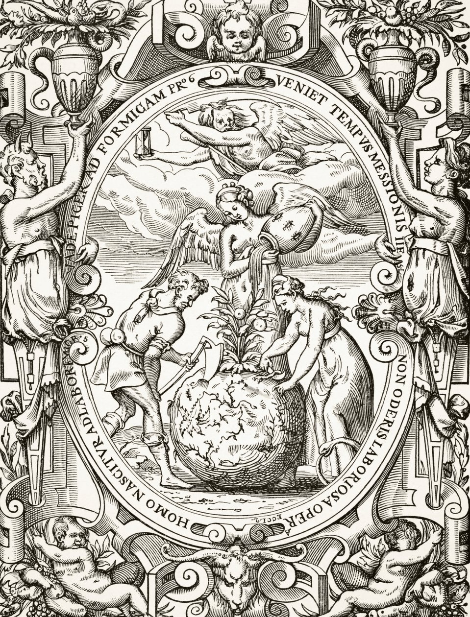 Le Royaume Végétal, de Science et Littérature au Moyen Âge par Paul Lacroix, publié à Londres en 1878 - French School