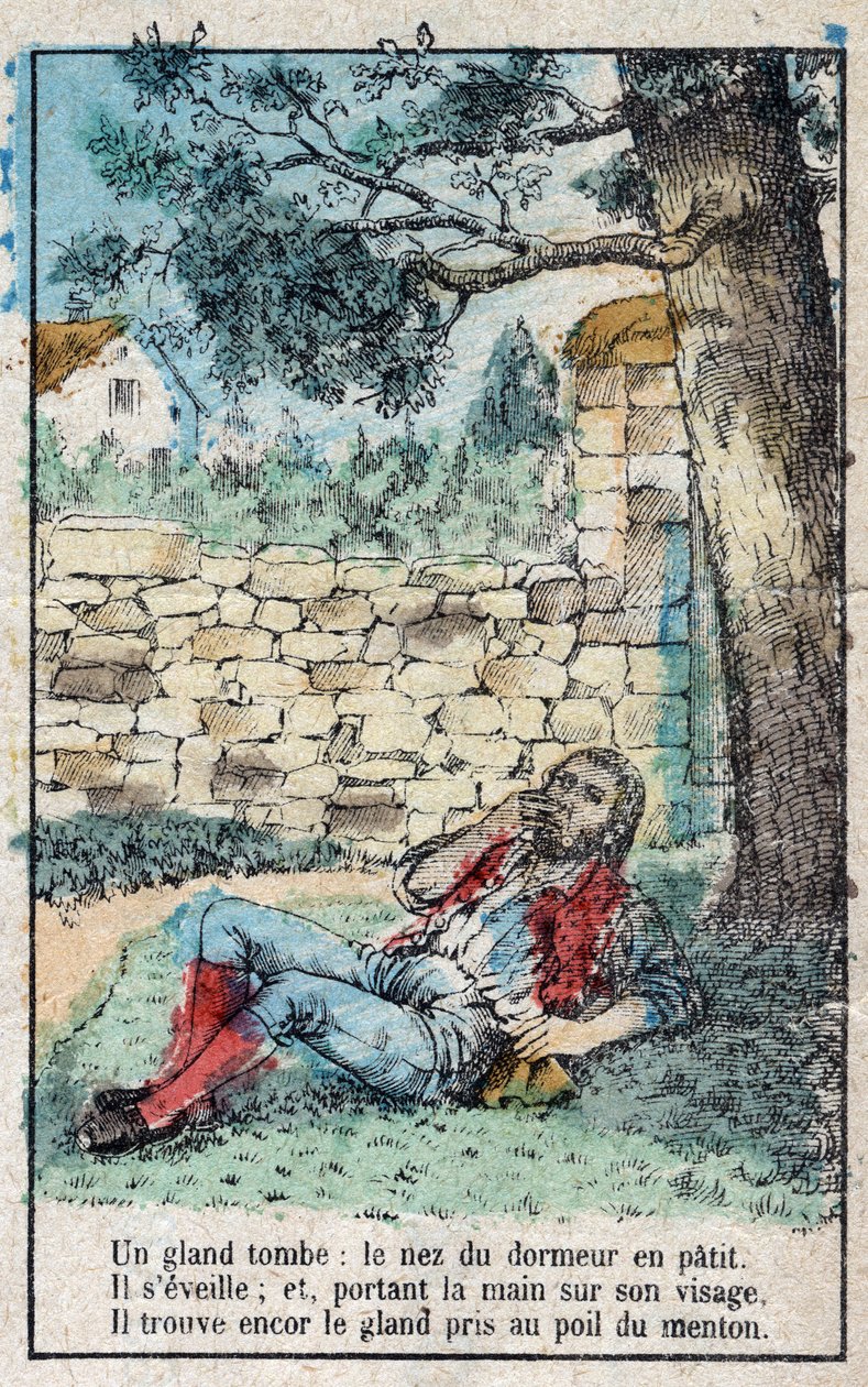 Le gland et la citrouille. Fables de Jean de La Fontaine (1621-95). Imagerie d