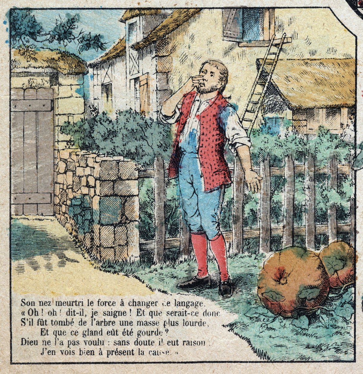 Le gland et la citrouille. Fables de Jean de La Fontaine (1621-95). Imagerie d