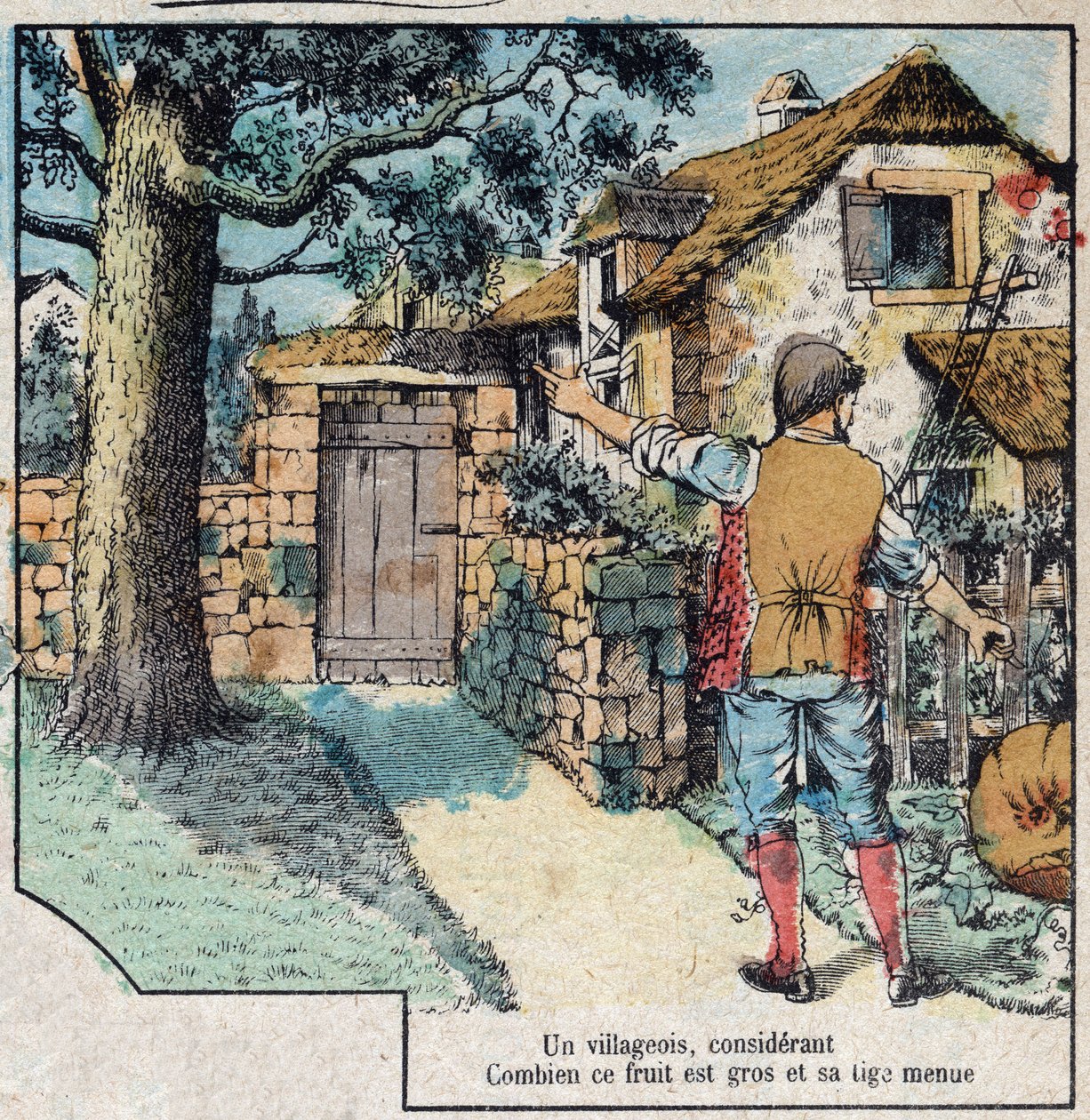 Le gland et la citrouille. Fables de Jean de La Fontaine (1621-95). Imagerie d