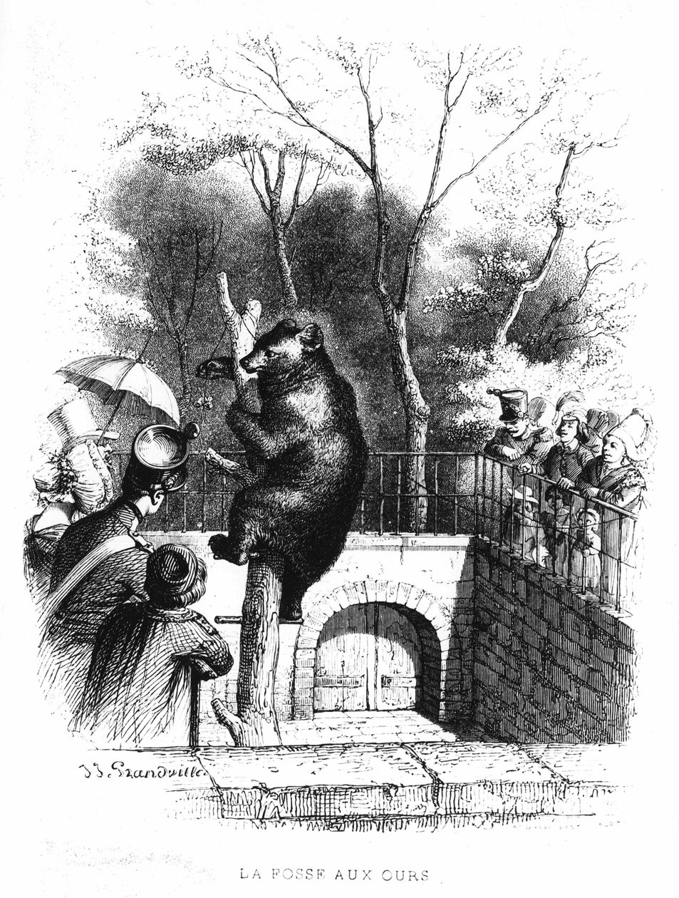 La fosse aux ours du jardin des plantes à Paris - gravure - French School