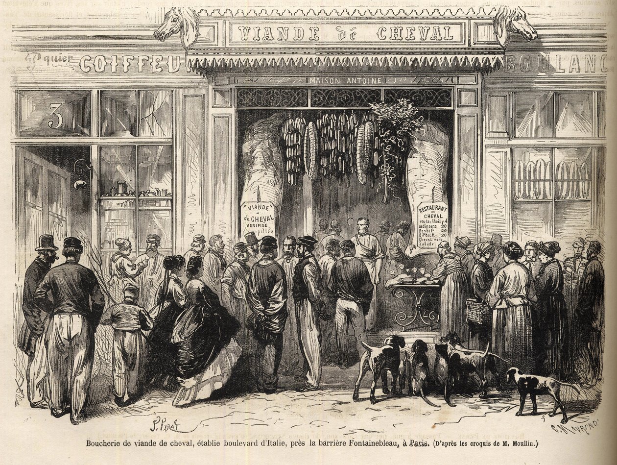 La boucherie chevaline à la barrière de Fontainebleau (Paris) ouverte en 1866 - gravure dans « Le Monde Illustré » de 1866 - French School