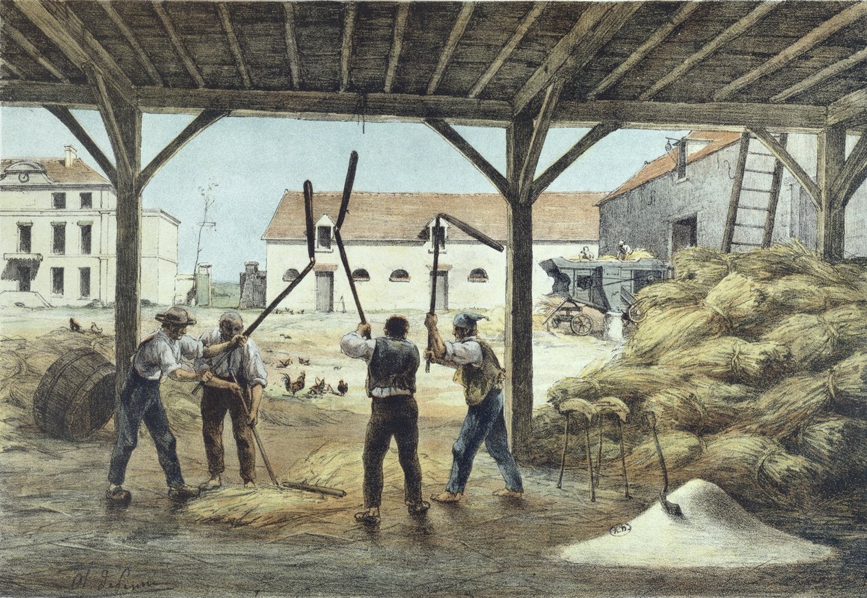 Battage du maïs, illustration d