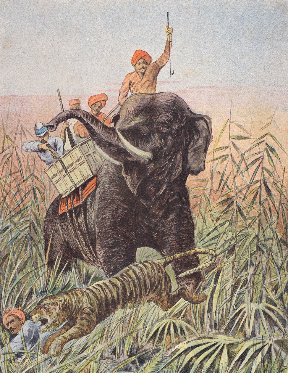 Chasse au tigre, Inde (lithographie couleur) - French School