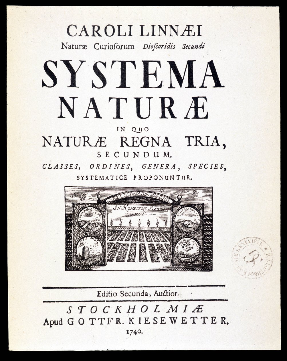 Page de titre « Systema naturae » par Linné - French School