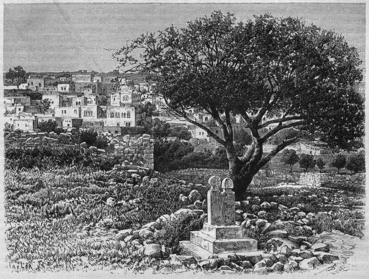 Vue de Safed, de La Syrie d