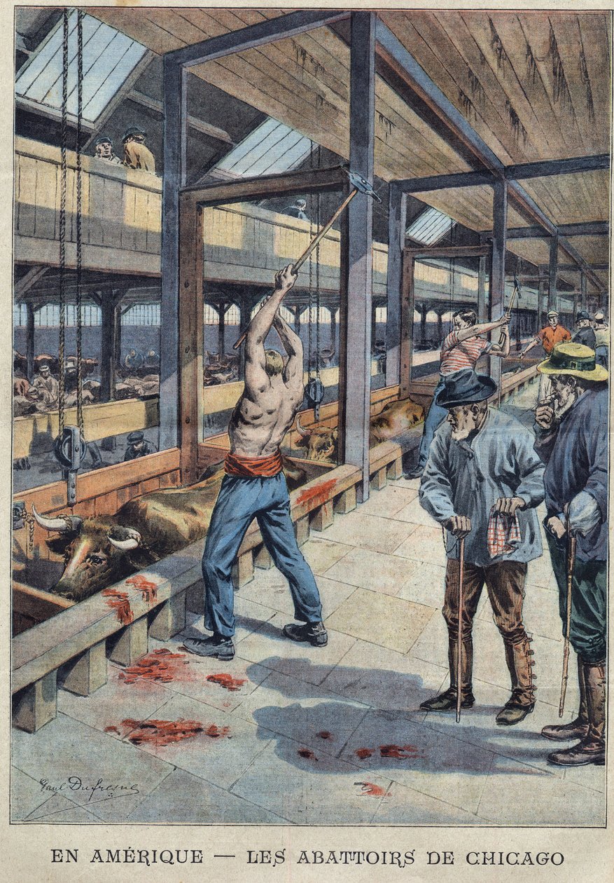 Vue des abattoirs à Chicago, USA - French School