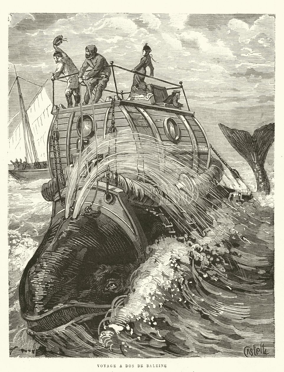 Voyage a Dos de Baleine (engraving) - French School