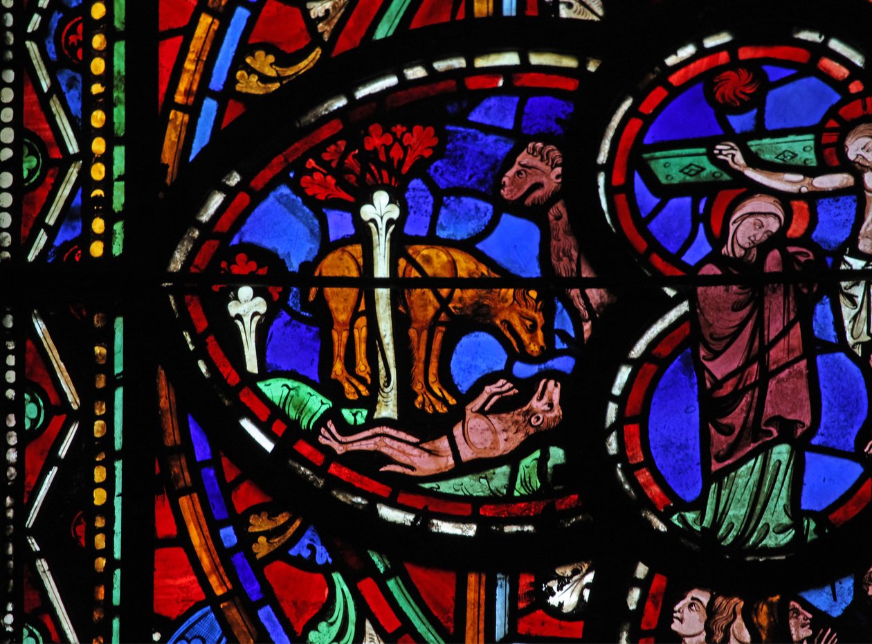 Fenêtre w0 représentant un lion ravivant ses petits - French School