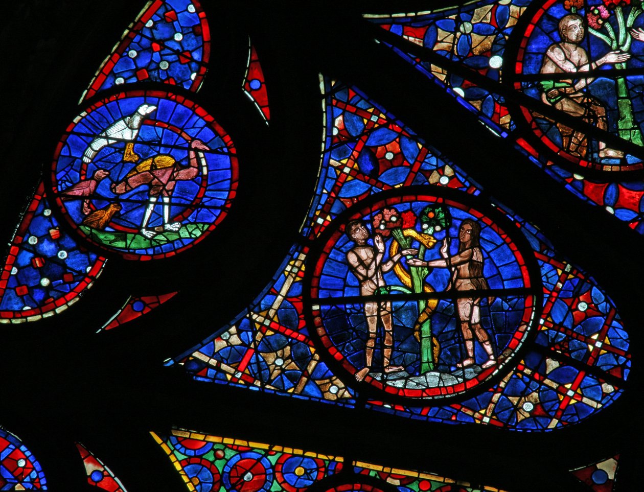 Fenêtre w115 représentant la Création : oiseaux, Adam et Ève et le serpent - French School