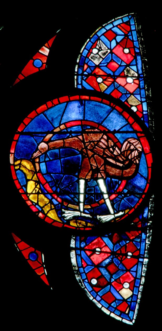 La Création des oiseaux - un oiseau inhabituel - French School