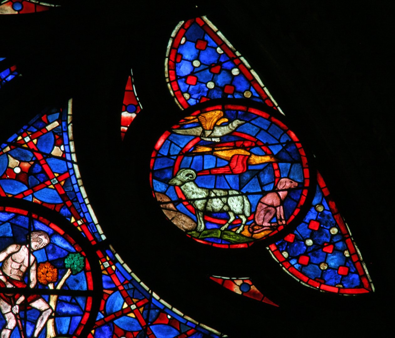 La Création des oiseaux et des animaux - French School