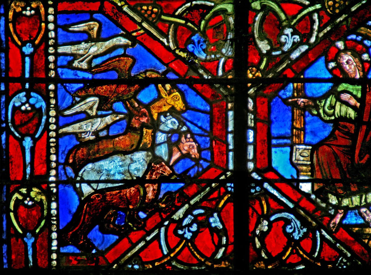 Fenêtre w21 représentant la Création des oiseaux et des animaux - French School