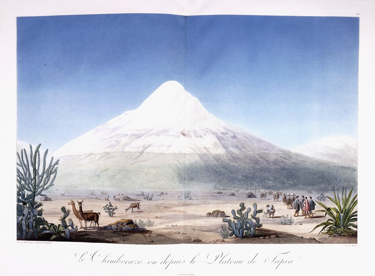 Le Chimborazo vu depuis le Plateau de Tapia - Friedrich Alexander Baron von (after) Humboldt