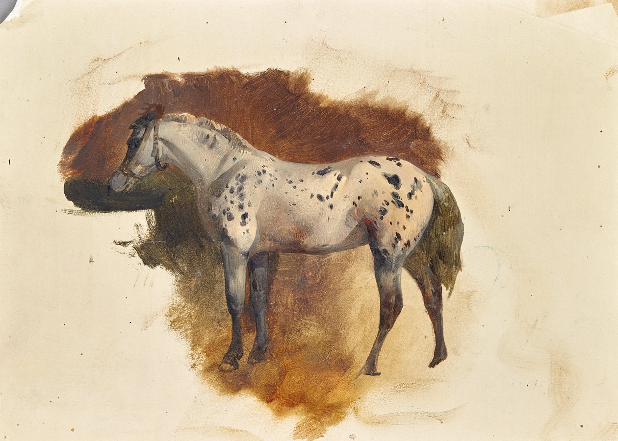 Cheval tacheté | Friedrich August Mathias Gauermann