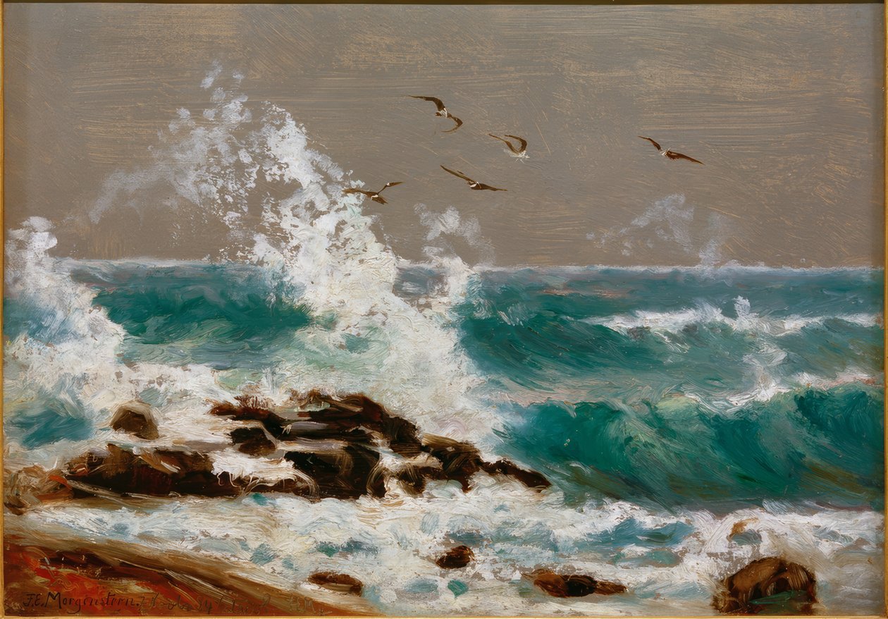 Vagues sur la côte d