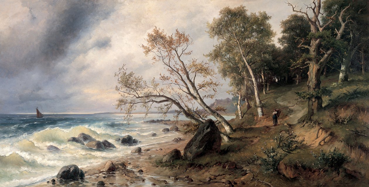 Côte de la mer Baltique sur l
