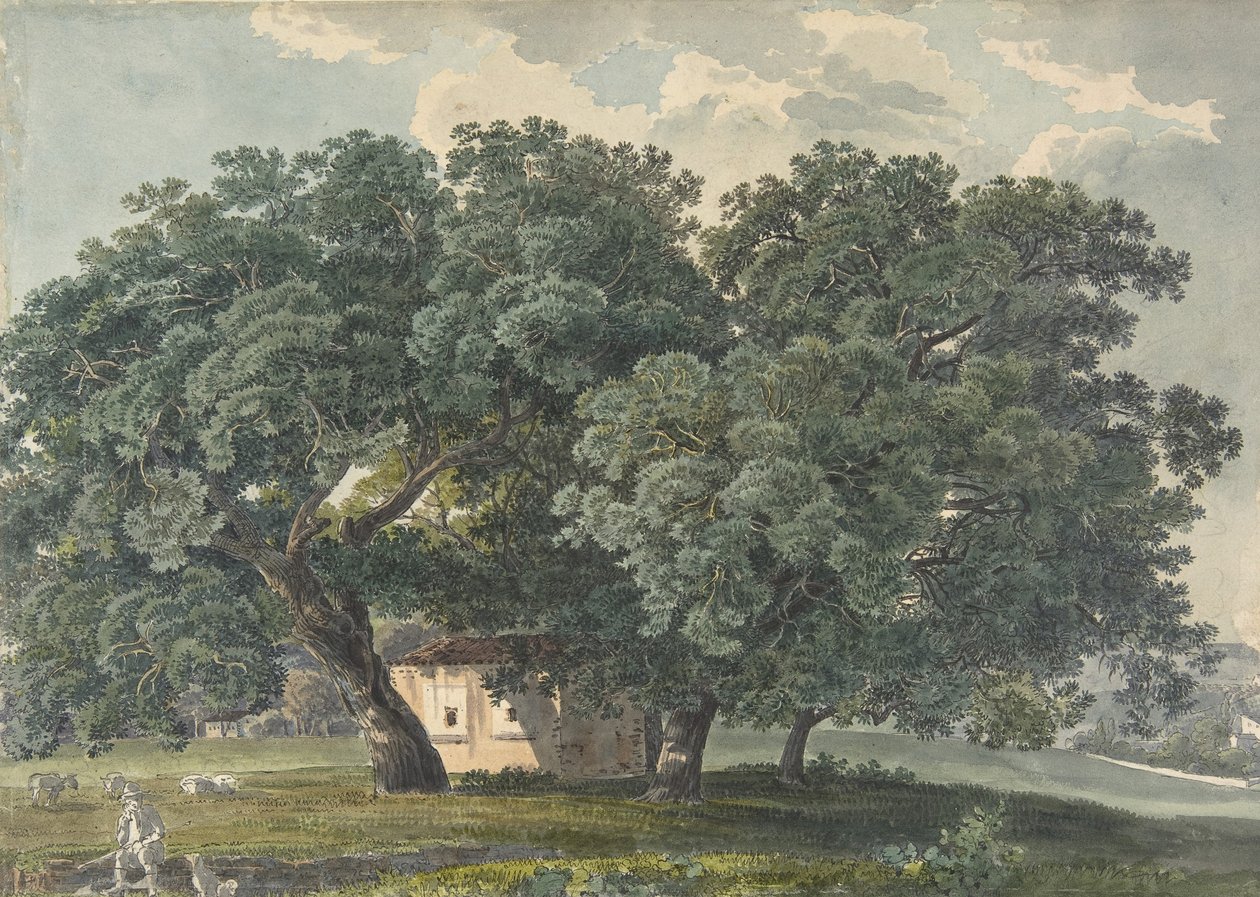 Paysage italien avec arbres - Friedrich Salathé