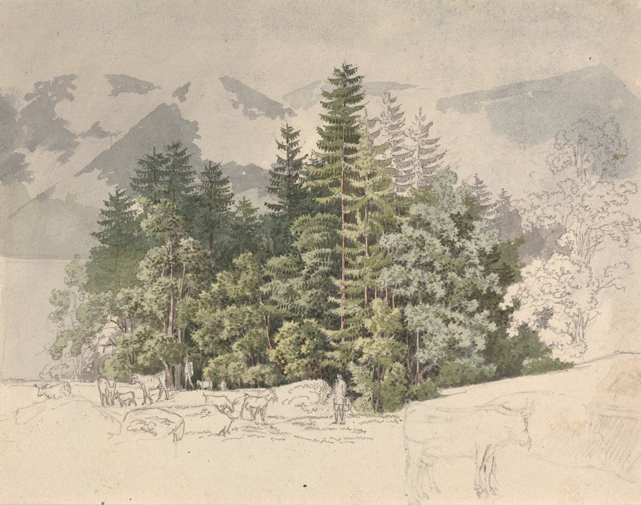Paysage alpin (gouache sur graphite) - Friedrich Salathe