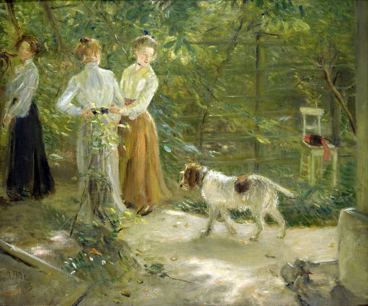 Vue du jardin de l