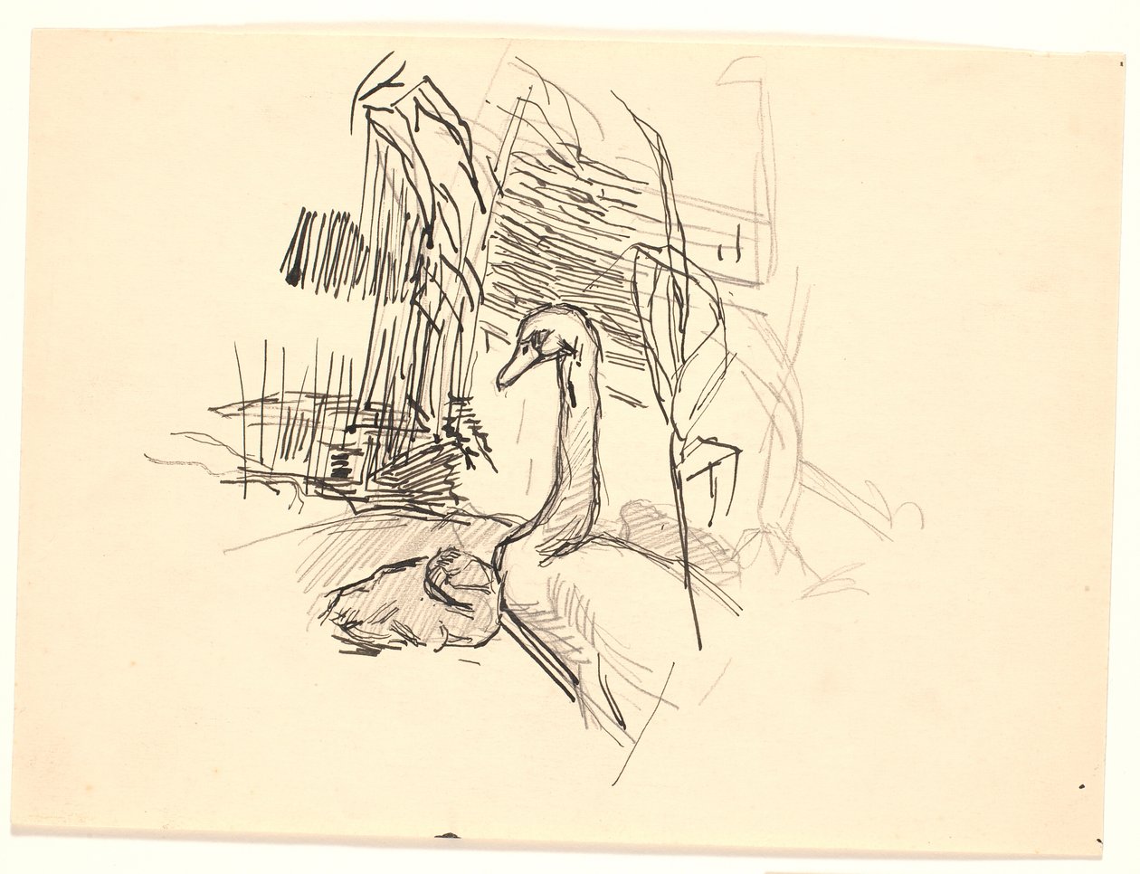 Un cygne avec un cygneau - Fritz Syberg