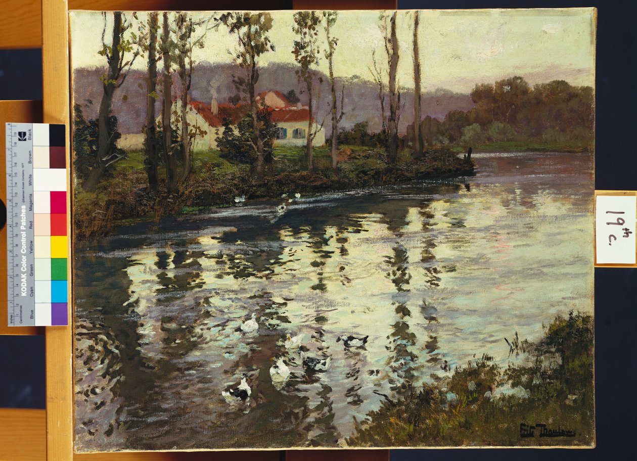 Paysage fluvial avec des canards - Frits Thaulow