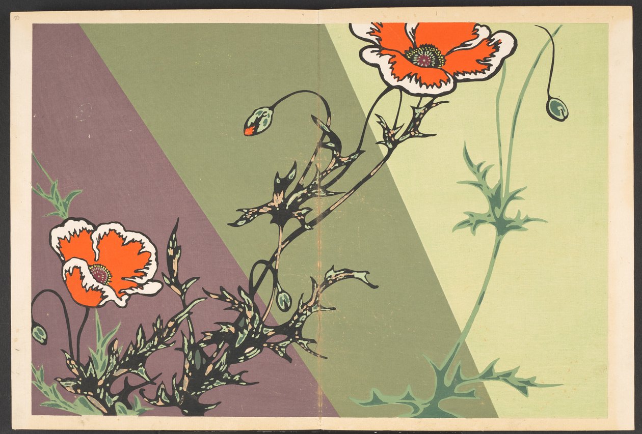 Shasei sôka môyô, Motifs de plantes et de fleurs de la vie - Furuya Korin
