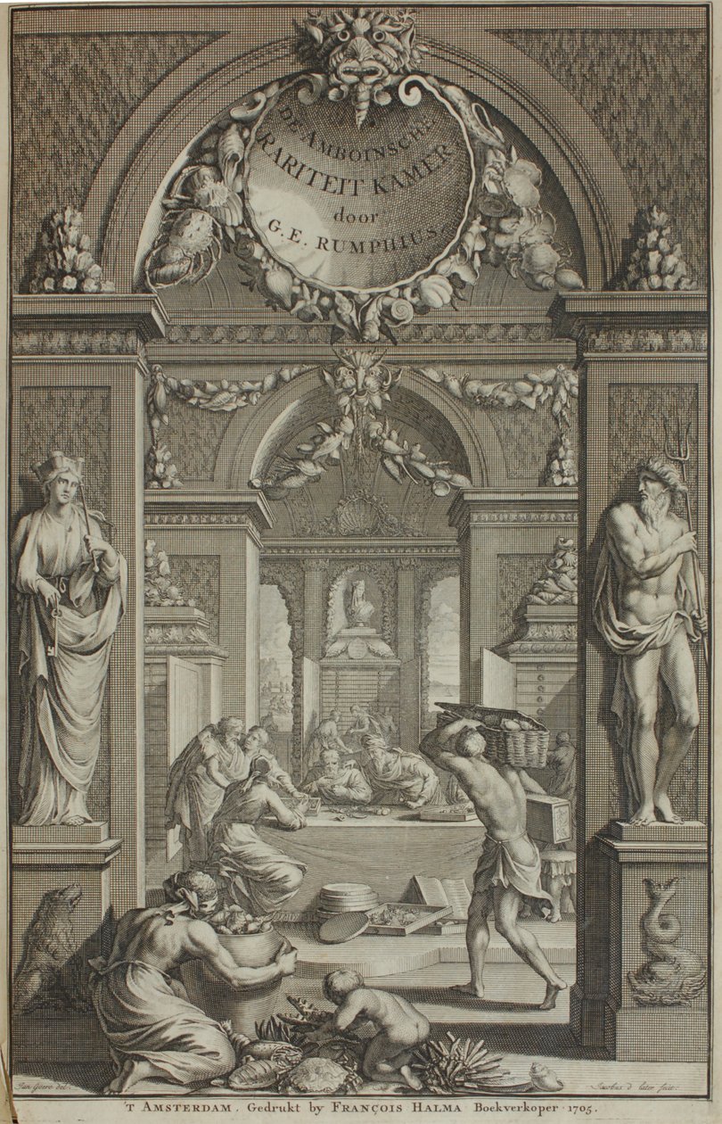 G. E. Rumphius, Amboinische Rariteikammer, Amsterdam 1705 - G. E. Rumphius