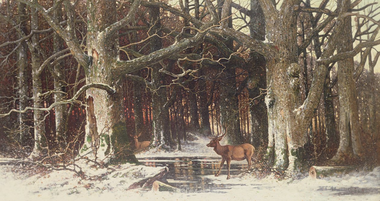 Cerfs dans la forêt, 19ème siècle - G. Schneyder