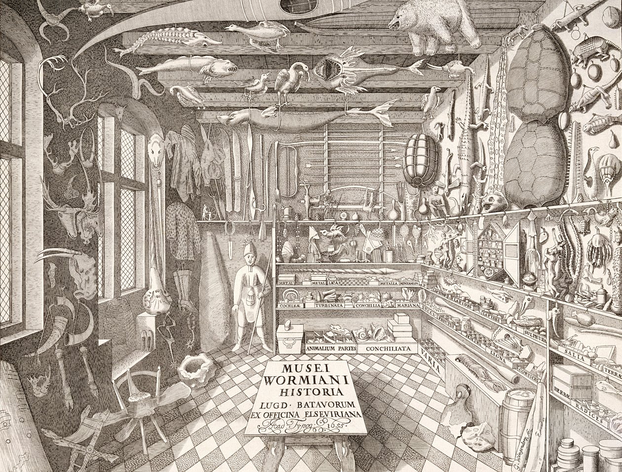 Musée d