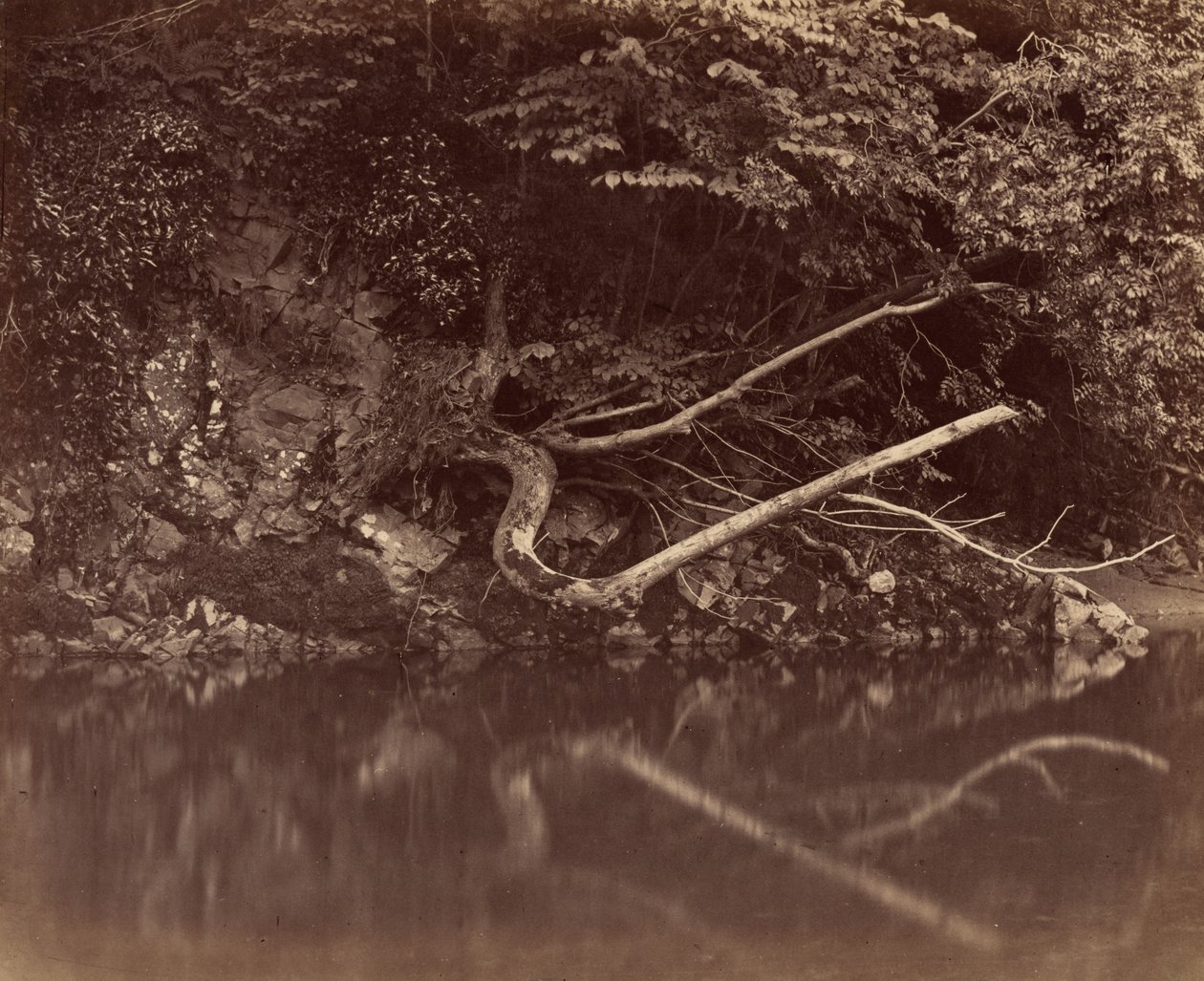 Bord de rivière dans la vallée de Neath, vers 1855 - G. B. Gething