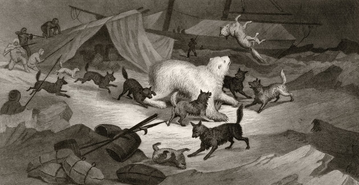 Chasse à l