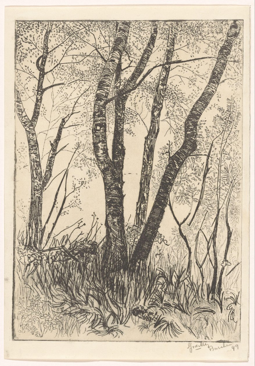 Arbres dans les hautes herbes - G. van der Mey (signed by artist)