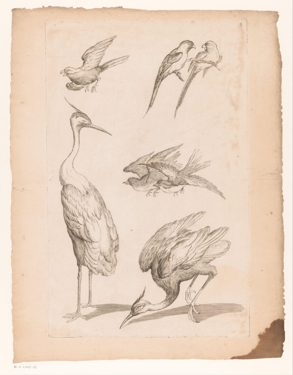 Sept oiseaux chinois, y compris des hérons et des perroquets - Gabriel Huquier (attributed to)