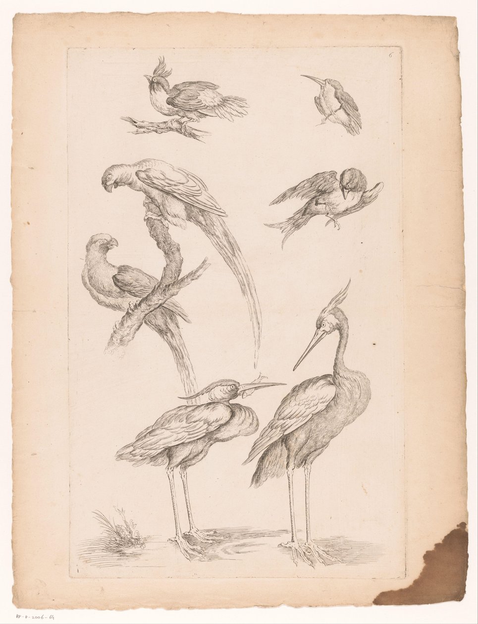 Sept oiseaux chinois, y compris des hérons et des perroquets - Gabriel Huquier (attributed to)