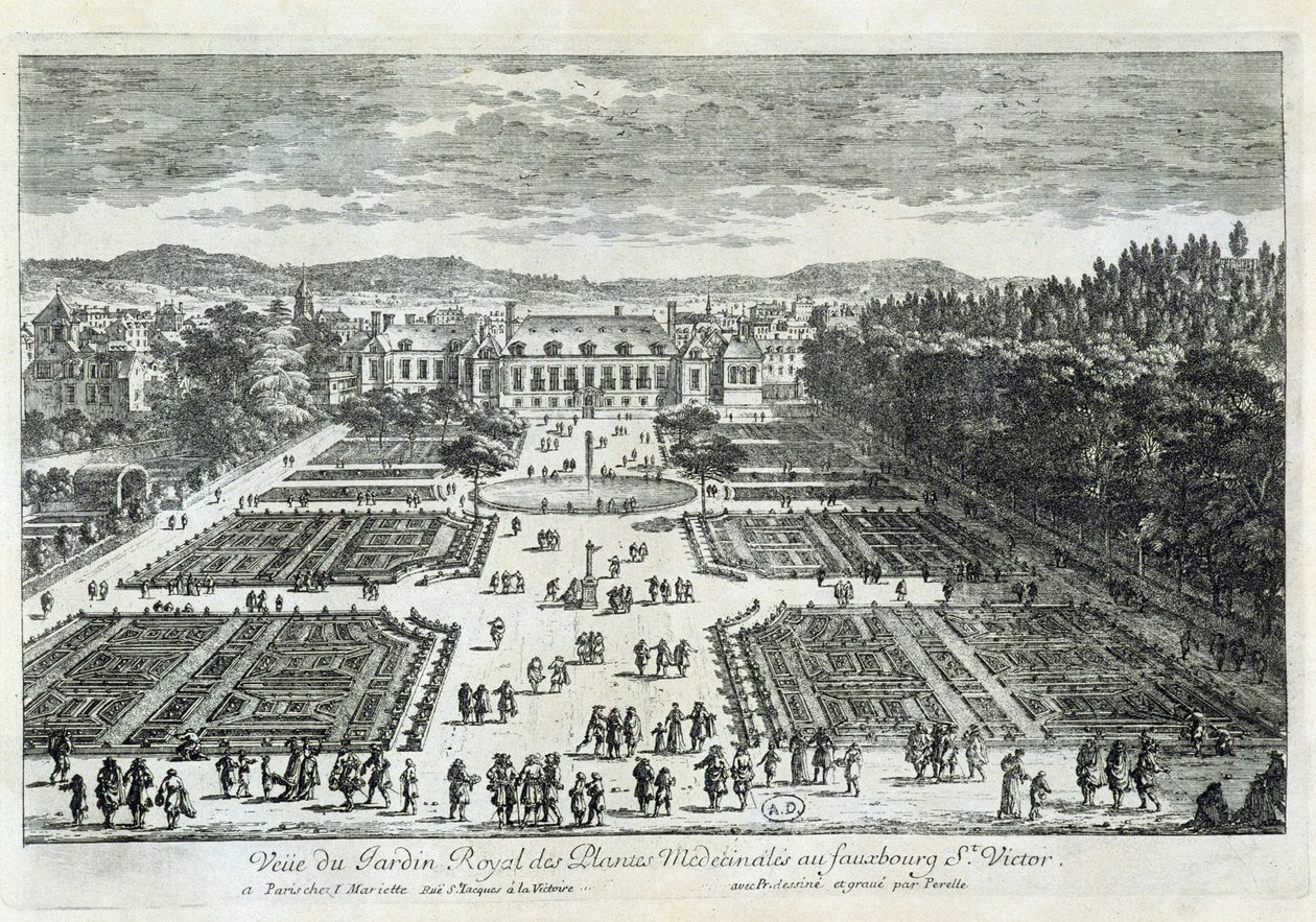 Vue du Jardin des Plantes au XVIIe siècle, par Perelle - Gabriel Perelle