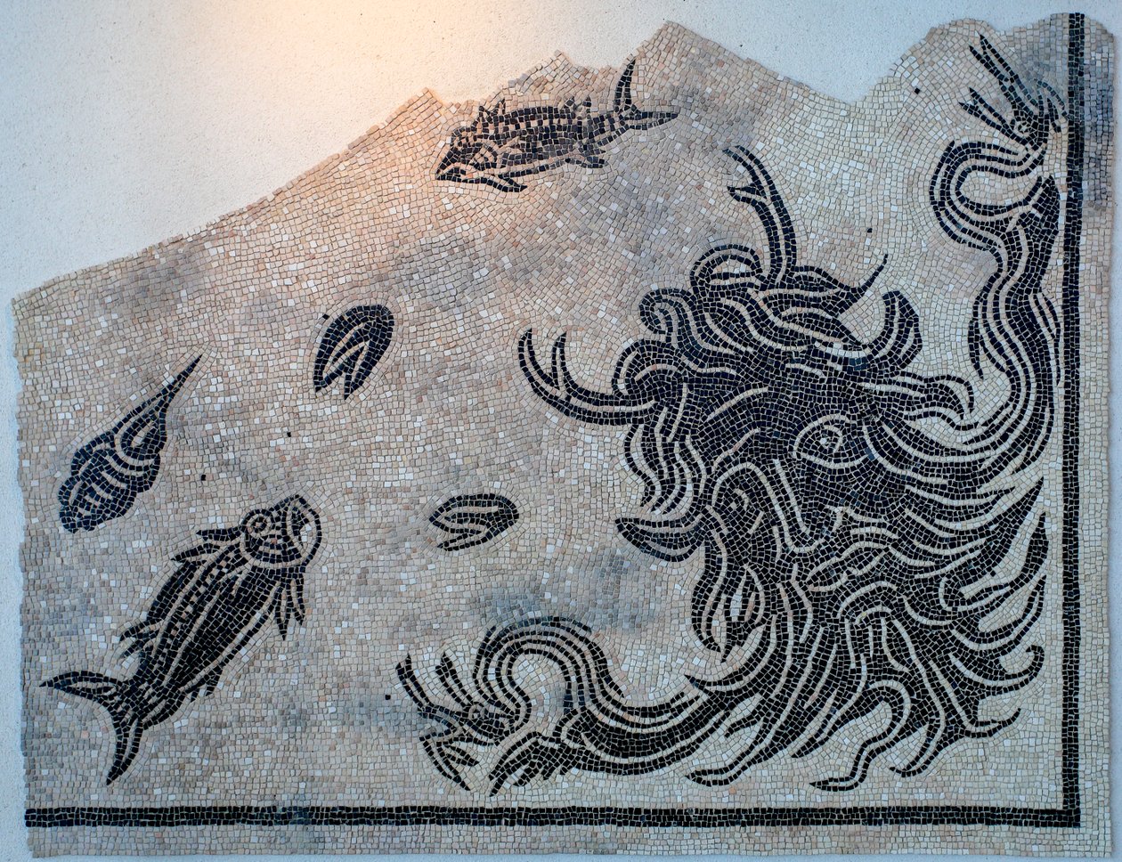 Mosaïque représentant la tête du dieu Océan avec des animaux marins - Gallo-Roman
