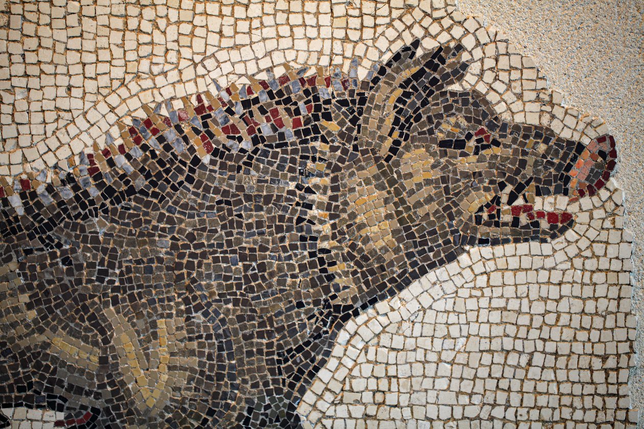 Mosaïque romaine - Gallo-Roman