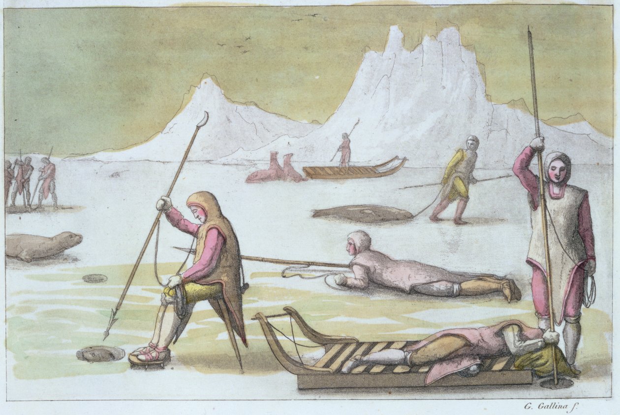 En attente sur la glace (détail) - Gallo Gallina
