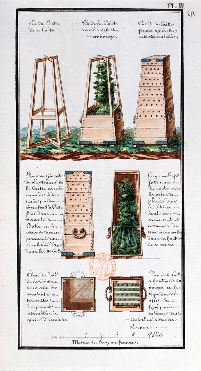 Illustration d