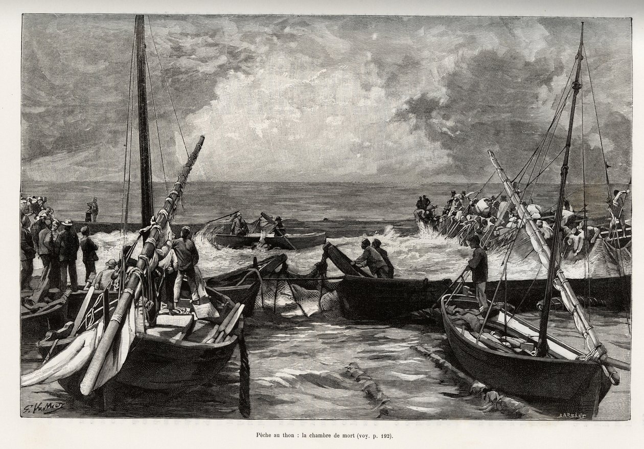 Pêche au thon (mattanza) : la chambre de la mort, les thons pressés dans un espace restreint sont couverts par les harpons des pêcheurs. Gravure et histoire "La Sardaigne" par Gaston Vuillier (1845-1915), en 1890, dans "Le tour du monde, nouveau journal de - Gaston Vuillier