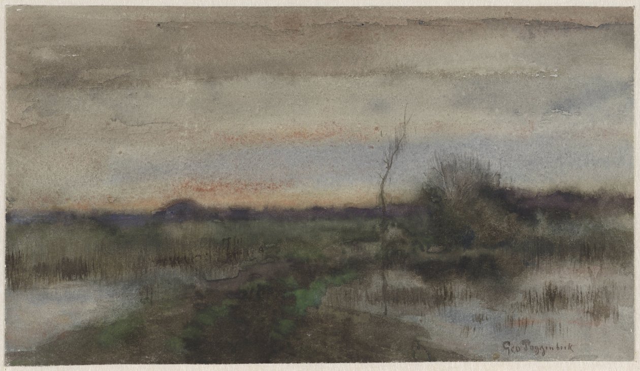 Paysage marécageux au coucher du soleil - Geo Poggenbeek