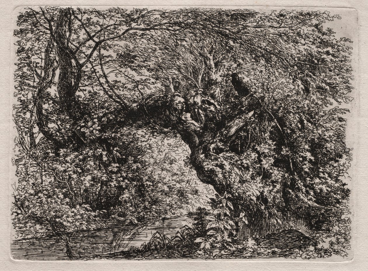 Le vieux saule au ruisseau - Georg von Dillis