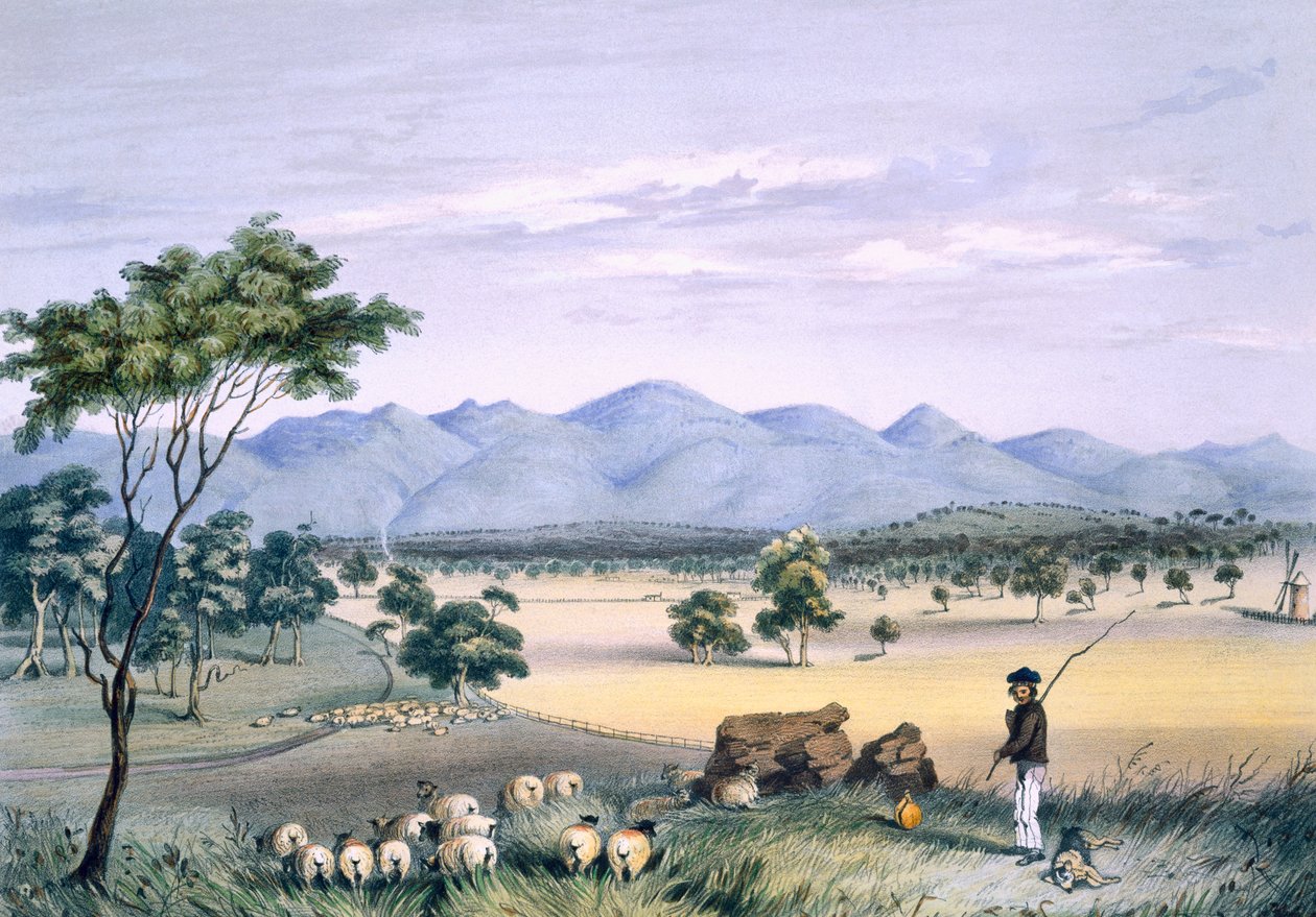 Vallée de Lynedoch vers la chaîne de Barossa, de 