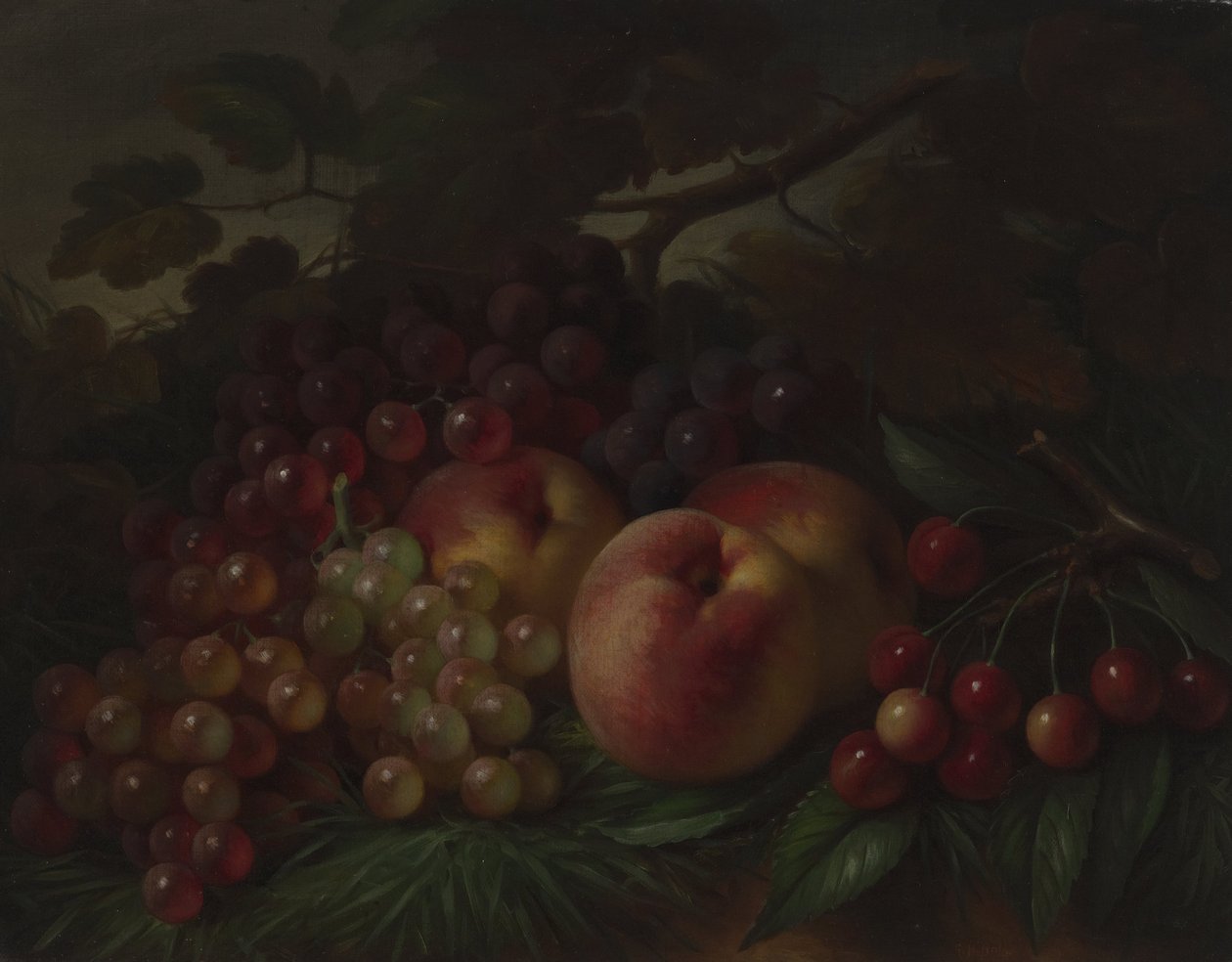 Pêches, raisins et cerises - George Henry Hall