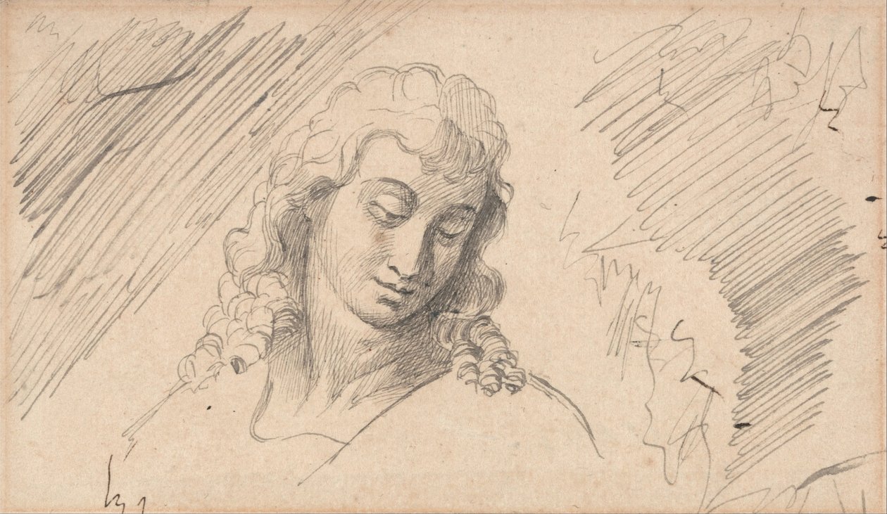 Étude de la tête d