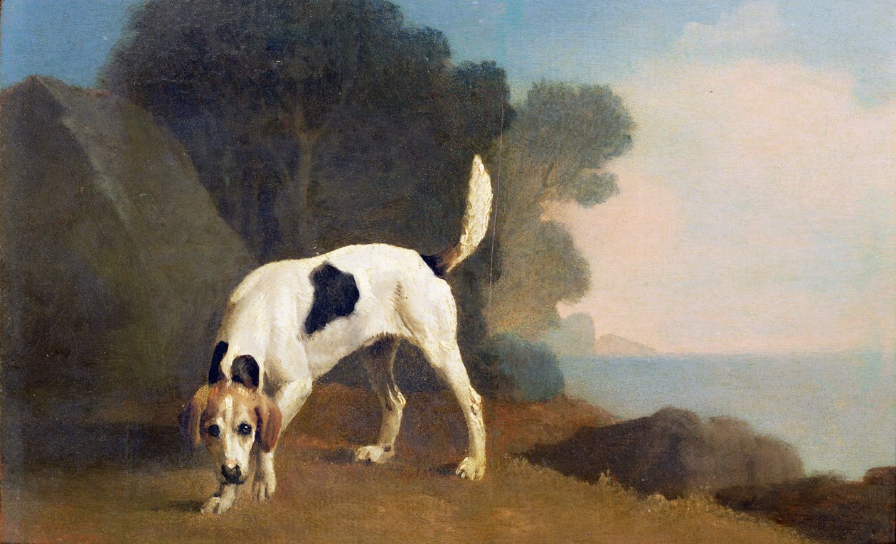 Chien de chasse sur la piste, vers 1760 - George Stubbs