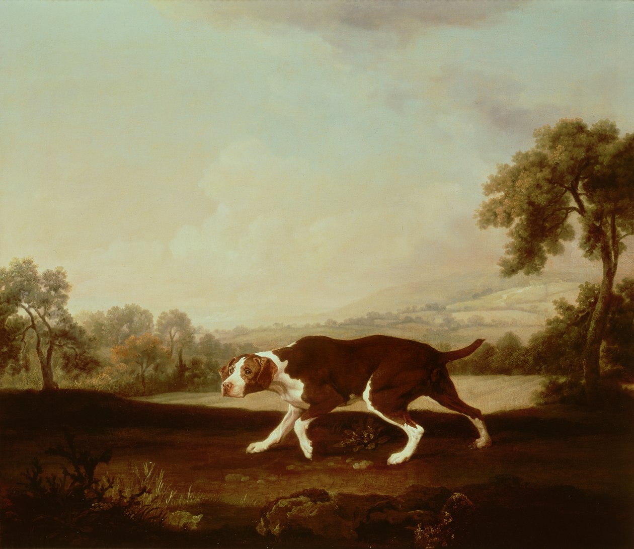 Chien d