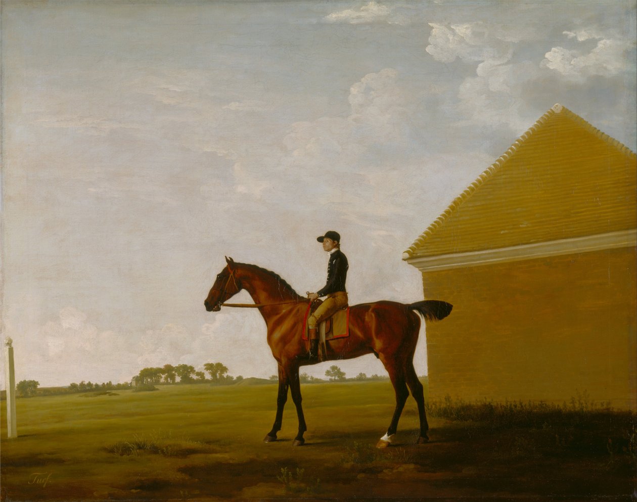 Turf, avec jockey, à Newmarket - George Stubbs